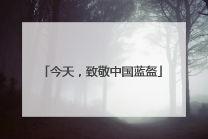 今天，致敬中国蓝盔