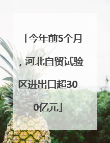 今年前5个月，河北自贸试验区进出口超300亿元