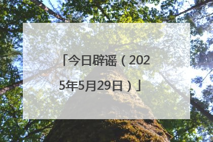 今日辟谣（2025年5月29日）