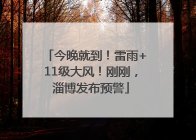 今晚就到！雷雨+11级大风！刚刚，淄博发布预警