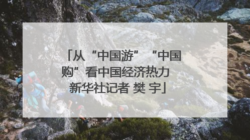 从“中国游”“中国购”看中国经济热力 新华社记者 樊 宇
