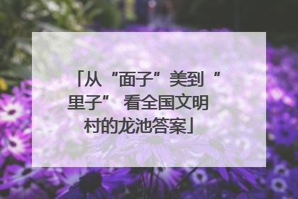 从“面子”美到“里子” 看全国文明村的龙池答案