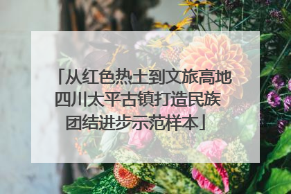 从红色热土到文旅高地 四川太平古镇打造民族团结进步示范样本