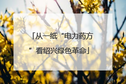 从一纸“电力药方”看绍兴绿色革命