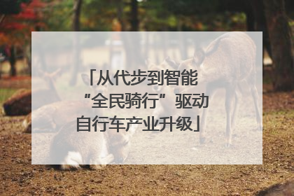 从代步到智能 “全民骑行”驱动自行车产业升级