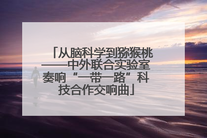 从脑科学到猕猴桃——中外联合实验室奏响“一带一路”科技合作交响曲