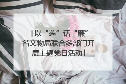 以“莲”话“廉” 省文物局联合多部门开展主题党日活动
