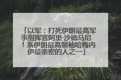 以军：打死伊朗最高军事指挥官阿里·沙德马尼！系伊朗最高领袖哈梅内伊最亲密的人之一