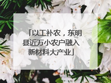 以工补农，东明县近万小农户融入新材料大产业