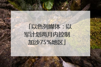 以色列媒体：以军计划两月内控制加沙75%地区