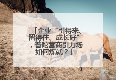 企业“引得来、留得住、成长好”，普陀营商引力场如何炼就？