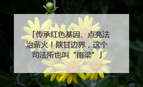 传承红色基因、点亮法治薪火！陕甘边界，这个司法所也叫“南梁”