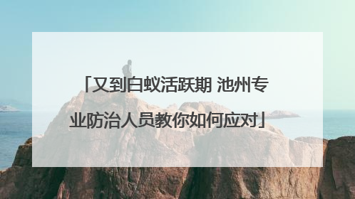 又到白蚁活跃期 池州专业防治人员教你如何应对