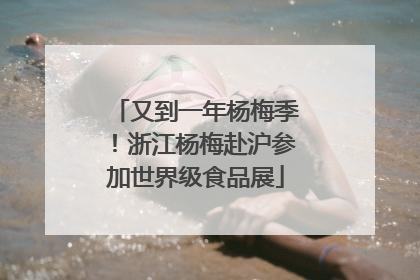 又到一年杨梅季!浙江杨梅赴沪参加世界级食品展