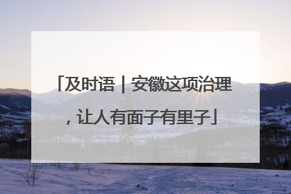 及时语｜安徽这项治理，让人有面子有里子