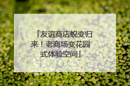 友谊商店蜕变归来！老商场变花园式体验空间