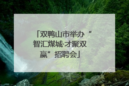 双鸭山市举办“智汇煤城·才聚双赢”招聘会