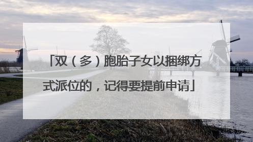 双（多）胞胎子女以捆绑方式派位的，记得要提前申请