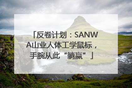 反卷计划：SANWA山业人体工学鼠标，手腕从此“躺赢”