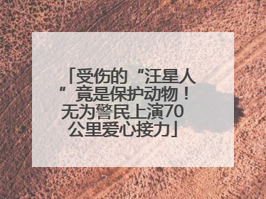 受伤的“汪星人”竟是保护动物！无为警民上演70公里爱心接力