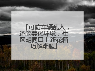 可防车辆乱入，还能美化环境，社区胡同口上新花箱巧解难题