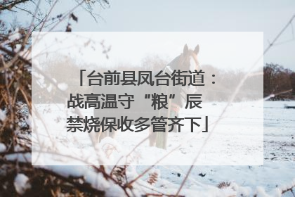 台前县凤台街道：战高温守“粮”辰 禁烧保收多管齐下
