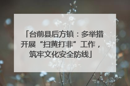 台前县后方镇：多举措开展“扫黄打非”工作，筑牢文化安全防线