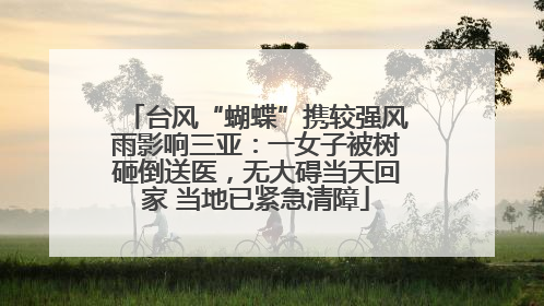 台风“蝴蝶”携较强风雨影响三亚：一女子被树砸倒送医，无大碍当天回家 当地已紧急清障