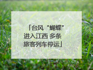 台风“蝴蝶”进入江西 多条旅客列车停运