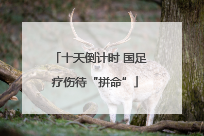 十天倒计时 国足疗伤待“拼命”