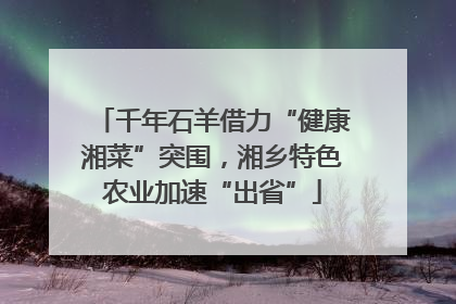 千年石羊借力“健康湘菜”突围，湘乡特色农业加速“出省”