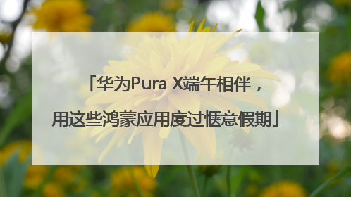 华为Pura X端午相伴，用这些鸿蒙应用度过惬意假期