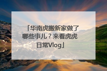 华南虎搬新家做了哪些事儿？来看虎虎日常Vlog