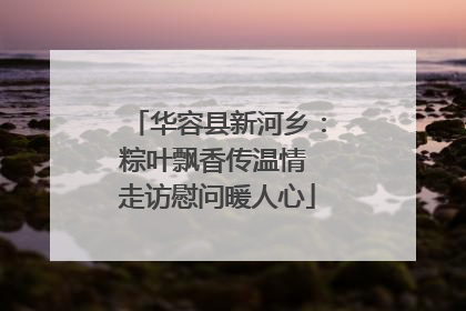 华容县新河乡：粽叶飘香传温情 走访慰问暖人心