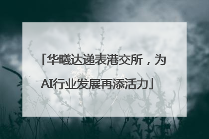 华曦达递表港交所，为AI行业发展再添活力