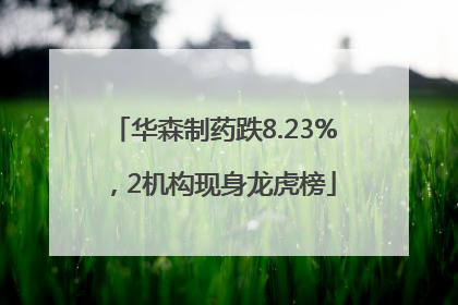华森制药跌8.23%，2机构现身龙虎榜