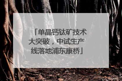 单晶钙钛矿技术大突破，中试生产线落地浦东康桥