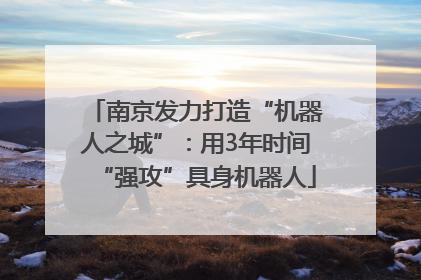 南京发力打造“机器人之城”：用3年时间“强攻”具身机器人