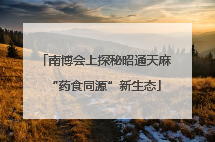 南博会上探秘昭通天麻“药食同源”新生态