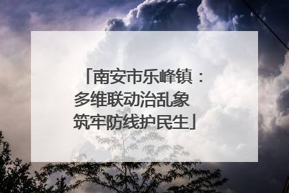 南安市乐峰镇：多维联动治乱象 筑牢防线护民生