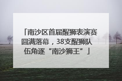 南沙区首届醒狮表演赛圆满落幕，38支醒狮队伍角逐“南沙狮王”