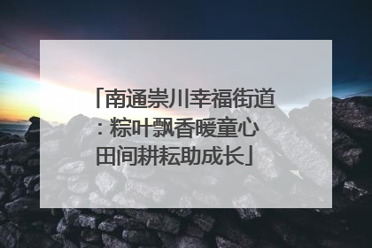 南通崇川幸福街道：粽叶飘香暖童心 田间耕耘助成长