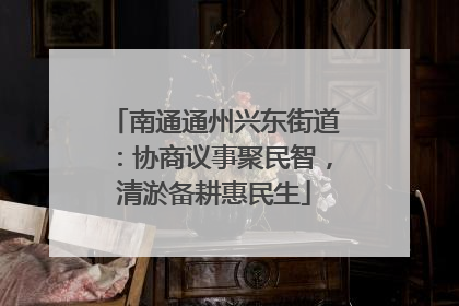 南通通州兴东街道：协商议事聚民智，清淤备耕惠民生