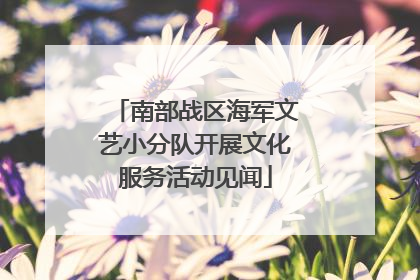 南部战区海军文艺小分队开展文化服务活动见闻