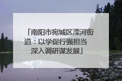 南阳市宛城区溧河街道：以学促行强担当 深入调研谋发展