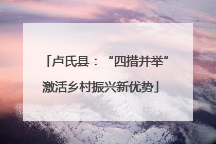 卢氏县：“四措并举”激活乡村振兴新优势