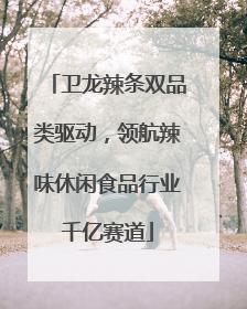卫龙辣条双品类驱动，领航辣味休闲食品行业千亿赛道