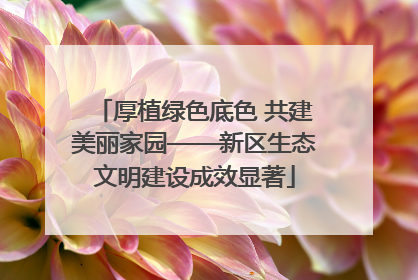 厚植绿色底色 共建美丽家园——新区生态文明建设成效显著