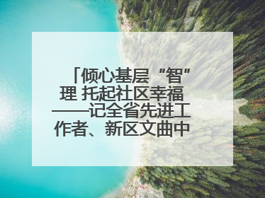 倾心基层“智”理 托起社区幸福——记全省先进工作者、新区文曲中心社区党委书记董世弘