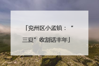 兖州区小孟镇：“三夏”收割话丰年